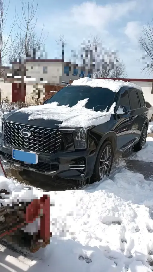 2024 GAC Trumpchi GS8 2.0T 252HP L4 8AT