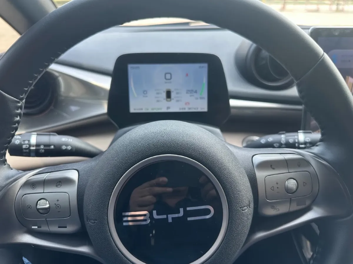 2023 BYD Dolphin BEV 44.928KWH,autocango,china used car exporter,china ev exporter,chinese used car exporter,chinese used ev exporter
