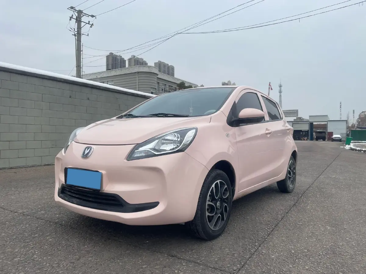2021 ChangAn BenBen E-Star BEV 31.86KWH