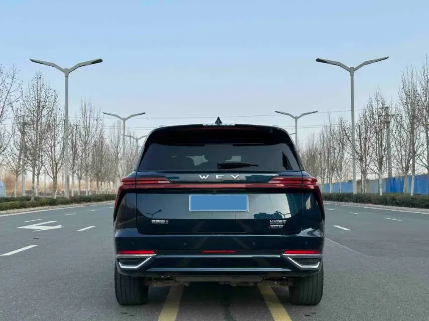 2023 WEY BlueMountain 1.5T 154HP L4 2DHT PHEV 36.65KWH,autocango,china used car exporter,china ev exporter,chinese used car exporter,chinese used ev exporter