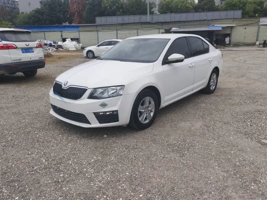2017 Skoda Octavia 1.6L 110HP L4 5MT