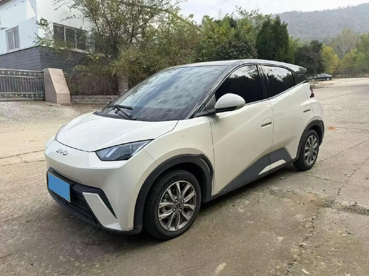 2024 BYD Seagull BEV 30.08KWH