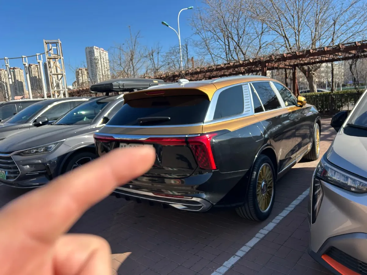 2021 HongQi E-HS9 BEV 84KWH,autocango,china used car exporter,china ev exporter,chinese used car exporter,chinese used ev exporter