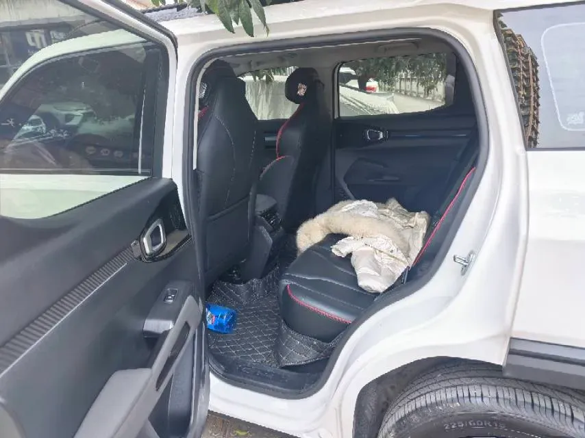 2022 Haval X Dog 1.5T 184HP L4 7DCT,autocango,china used car exporter,china ev exporter,chinese used car exporter,chinese used ev exporter