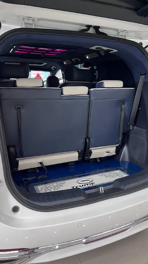 2021 GAC Trumpchi M8 2.0T 252HP L4 8AT,autocango,china used car exporter,china ev exporter,chinese used car exporter,chinese used ev exporter