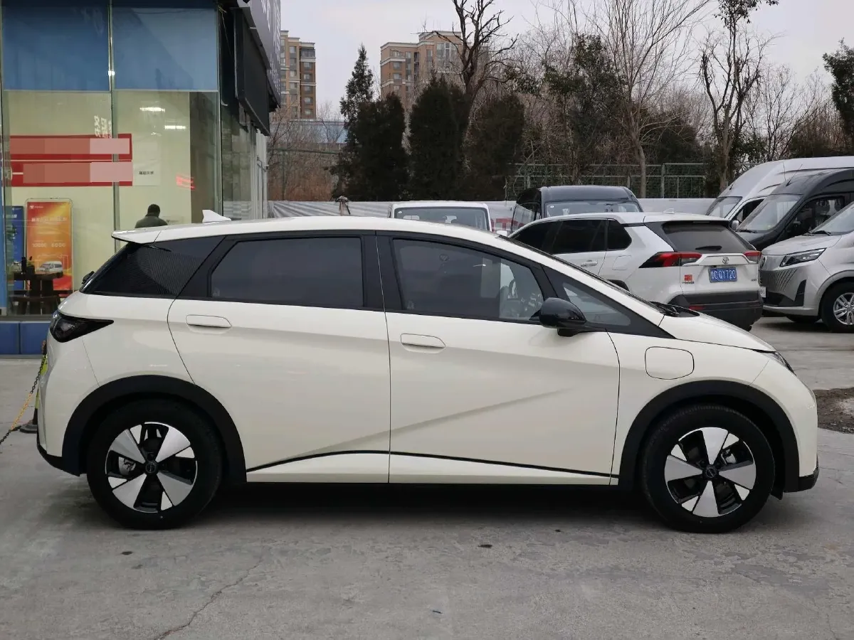 2024 BYD Dolphin BEV 44.928KWH,autocango,china used car exporter,china ev exporter,chinese used car exporter,chinese used ev exporter