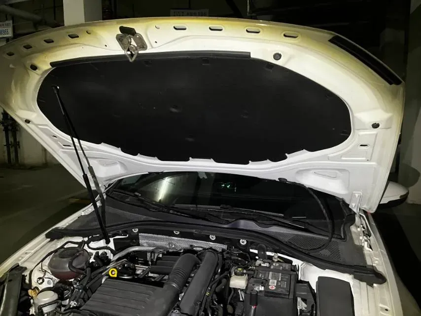 2021 DongFeng Forthing S50EV BEV 57.2KWH,autocango,china used car exporter,china ev exporter,chinese used car exporter,chinese used ev exporter