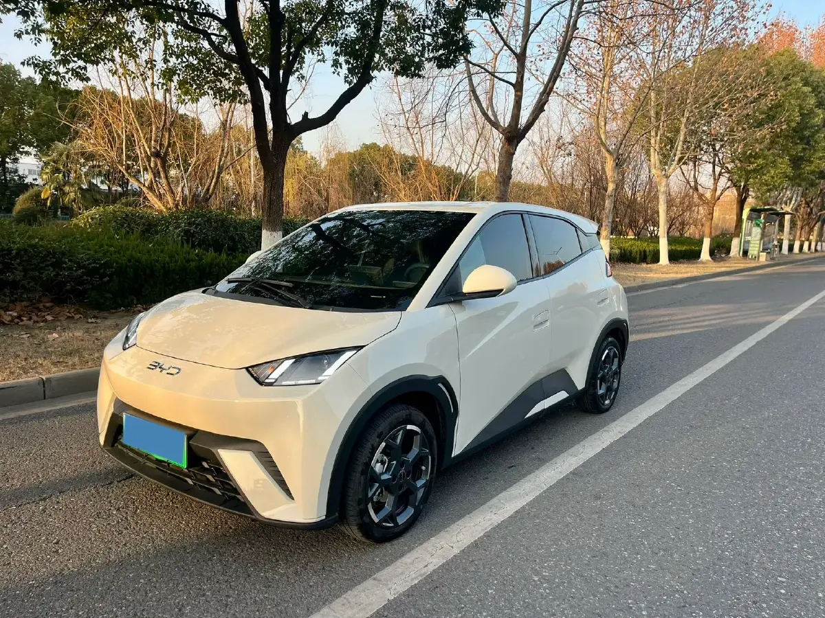 2025 BYD Seagull BEV 30.08KWH