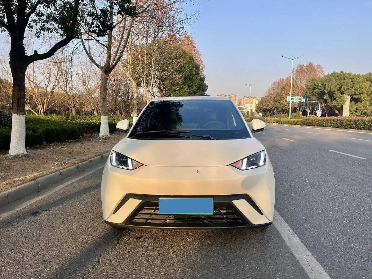 2025 BYD Seagull BEV 30.08KWH,autocango,china used car exporter,china ev exporter,chinese used car exporter,chinese used ev exporter