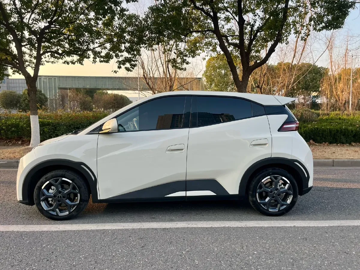 2025 BYD Seagull BEV 30.08KWH,autocango,china used car exporter,china ev exporter,chinese used car exporter,chinese used ev exporter