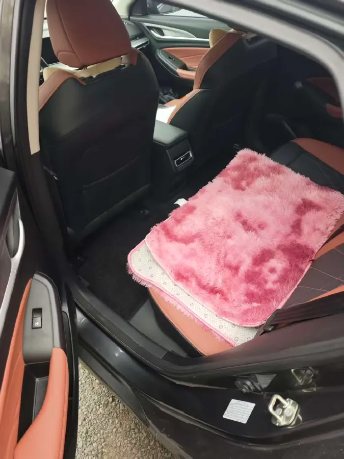 2022 ChangAn Eado 1.4T 160HP L4 7DCT,autocango,china used car exporter,china ev exporter,chinese used car exporter,chinese used ev exporter