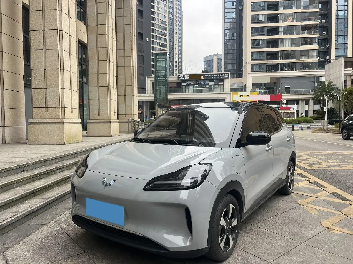 2024 WuLing BinGuoPLUS BEV 50.6KWH,autocango,china used car exporter,china ev exporter,chinese used car exporter,chinese used ev exporter