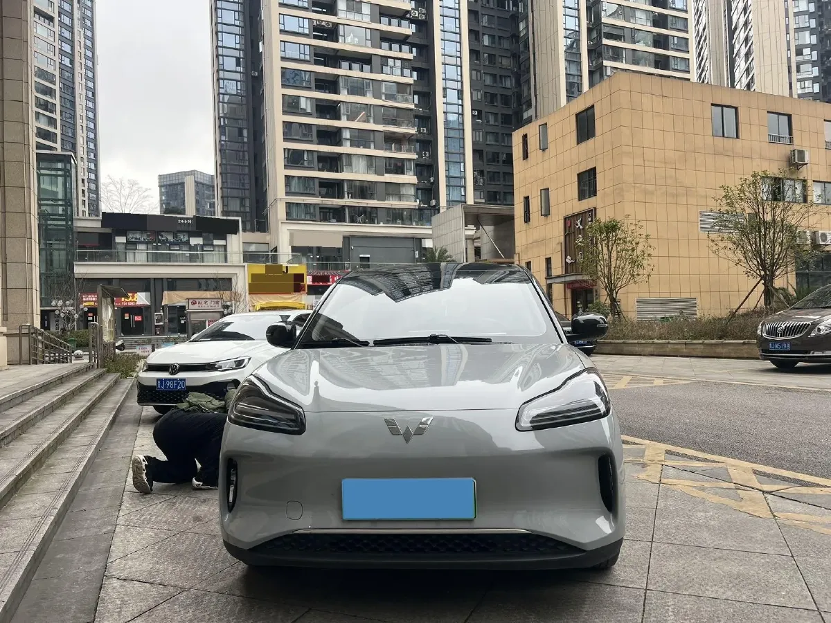 2024 WuLing BinGuoPLUS BEV 50.6KWH,autocango,china used car exporter,china ev exporter,chinese used car exporter,chinese used ev exporter