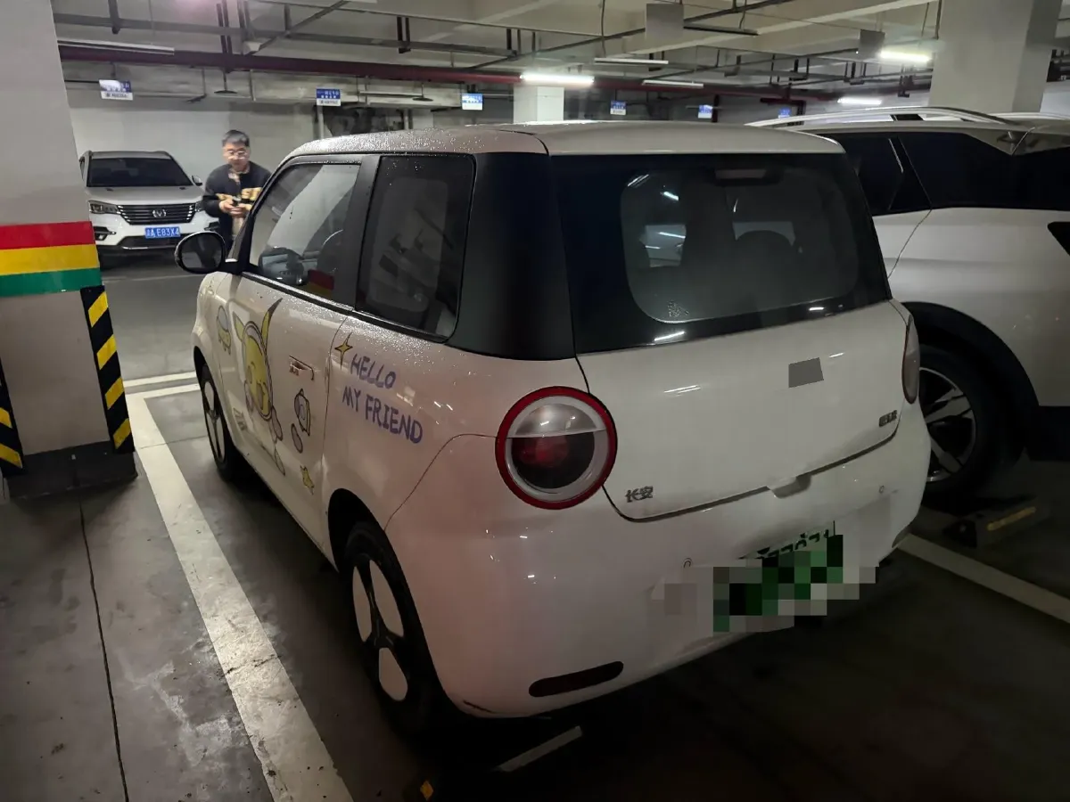2023 ChangAn QiYuan Lumin BEV 28.08KWH,autocango,china used car exporter,china ev exporter,chinese used car exporter,chinese used ev exporter