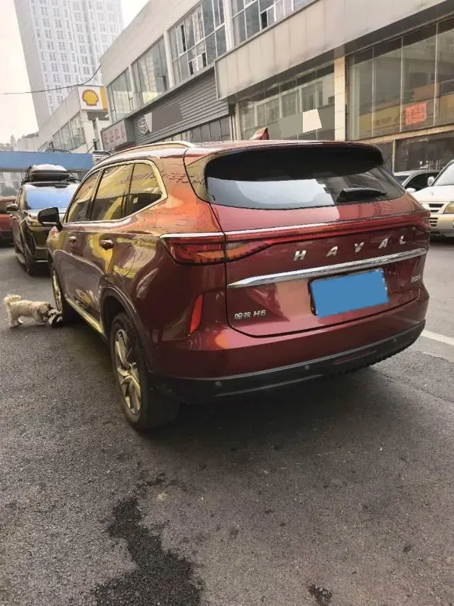 2021 Haval H6 1.5T 169HP L4 7DCT,autocango,china used car exporter,china ev exporter,chinese used car exporter,chinese used ev exporter