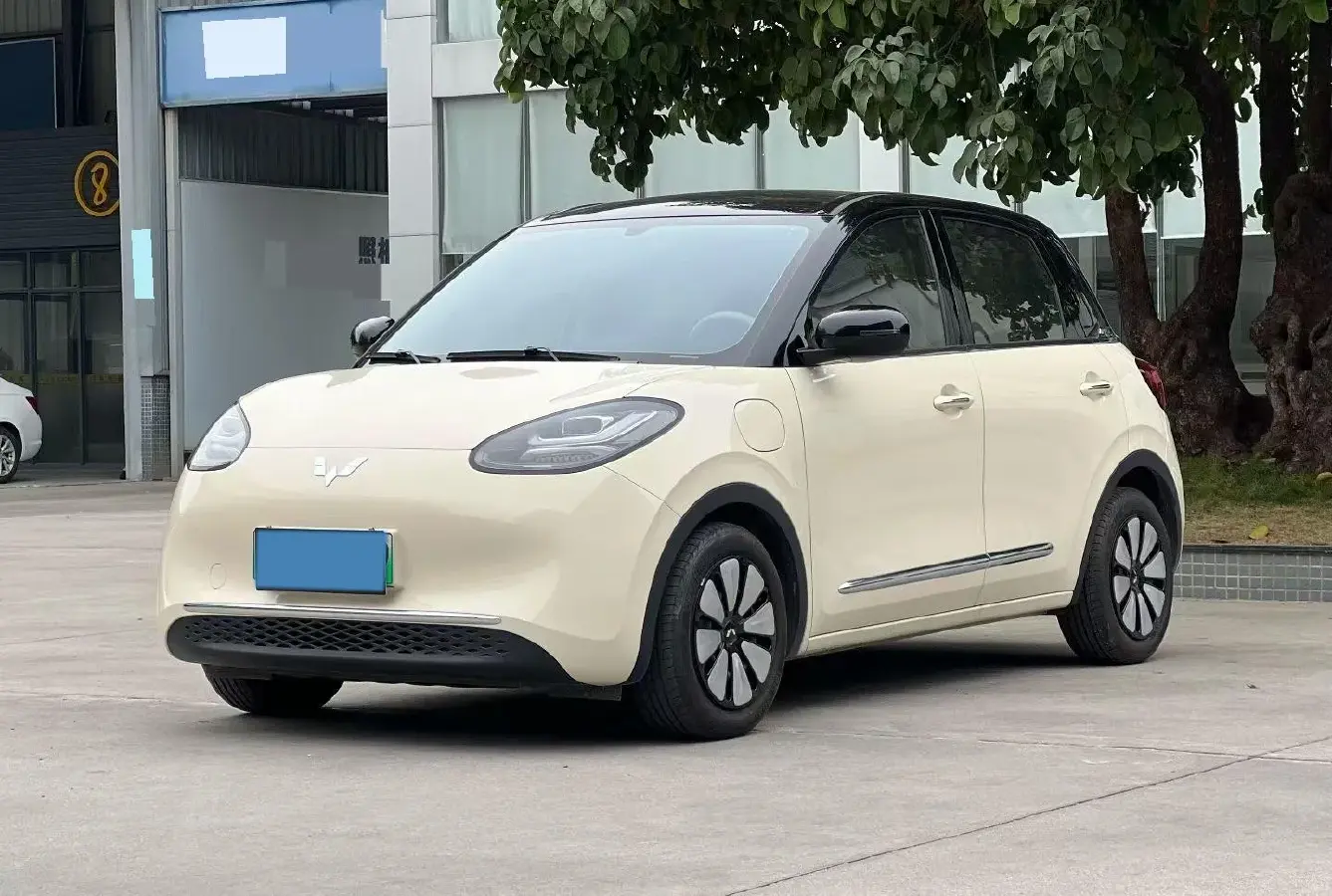 2025 WuLing BinGuo BEV