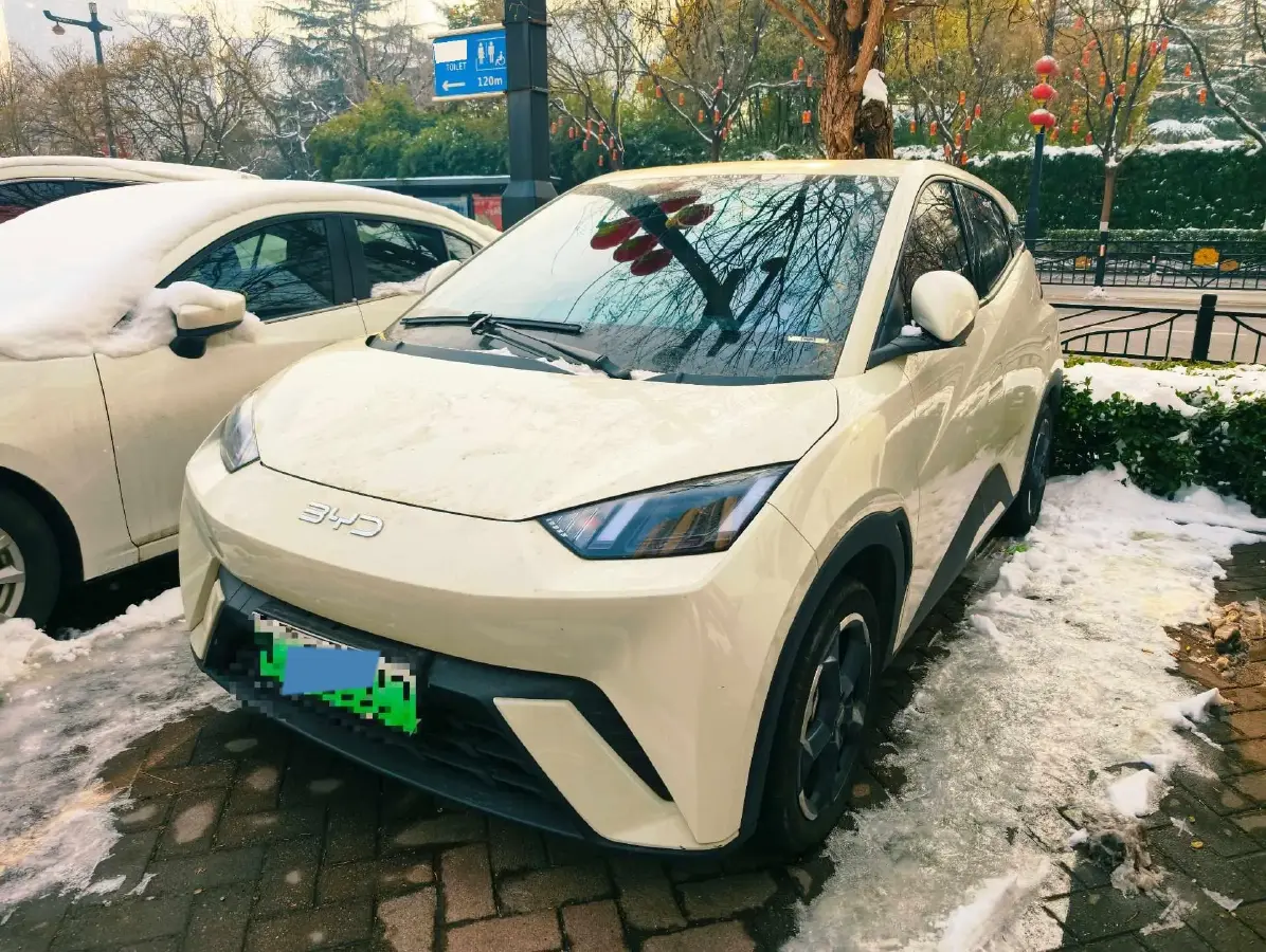 2024 BYD Seagull BEV 38.88KWH