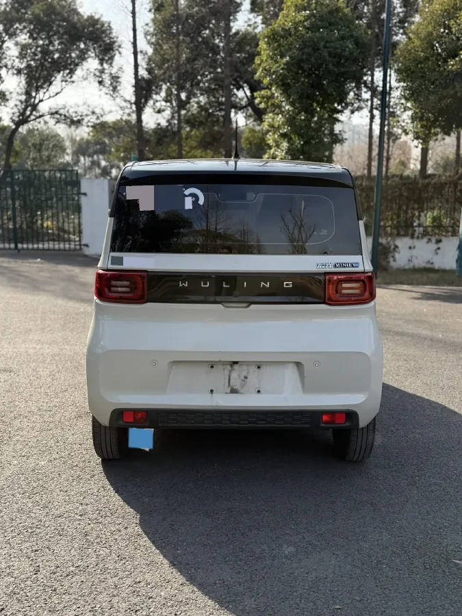 2022 DongFeng Fengon Fengon MINI EV BEV 13.8KWH,autocango,china used car exporter,china ev exporter,chinese used car exporter,chinese used ev exporter