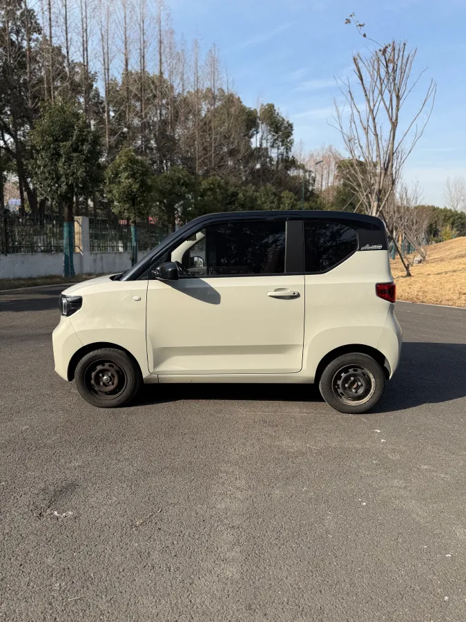 2022 DongFeng Fengon Fengon MINI EV BEV 13.8KWH,autocango,china used car exporter,china ev exporter,chinese used car exporter,chinese used ev exporter