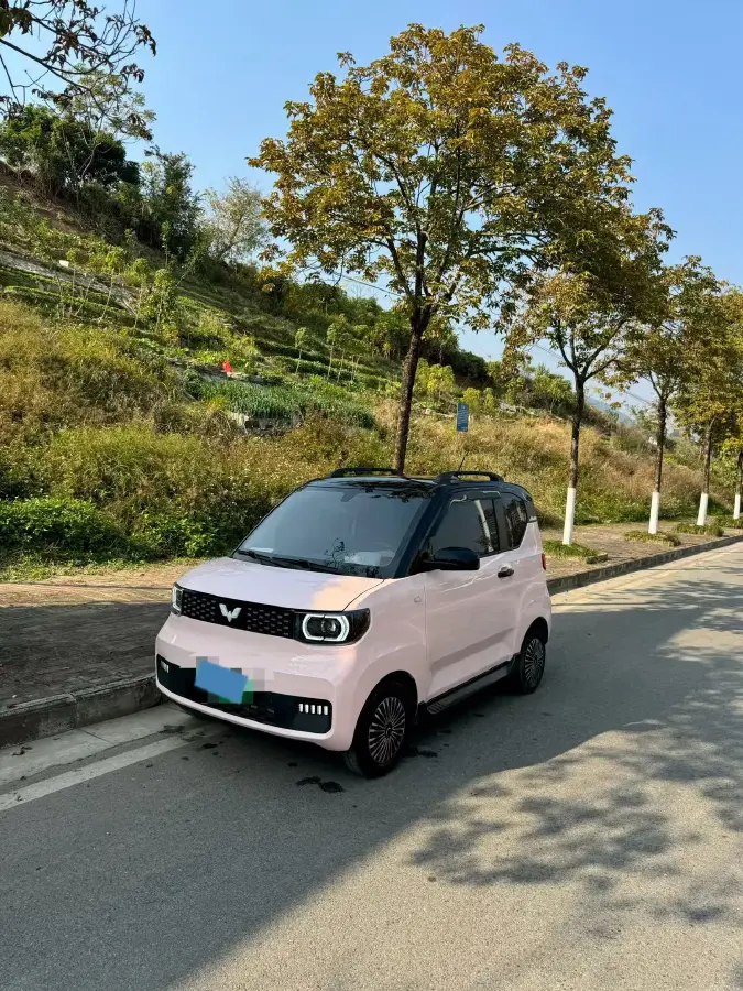 2021 WuLing HongGuang MINI EV BEV 13.9KWH