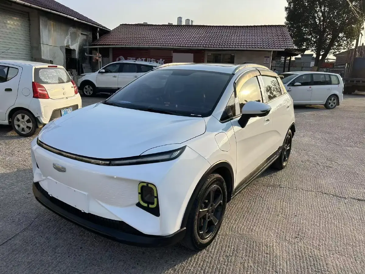 2022 Geometry E BEV 39.4KWH