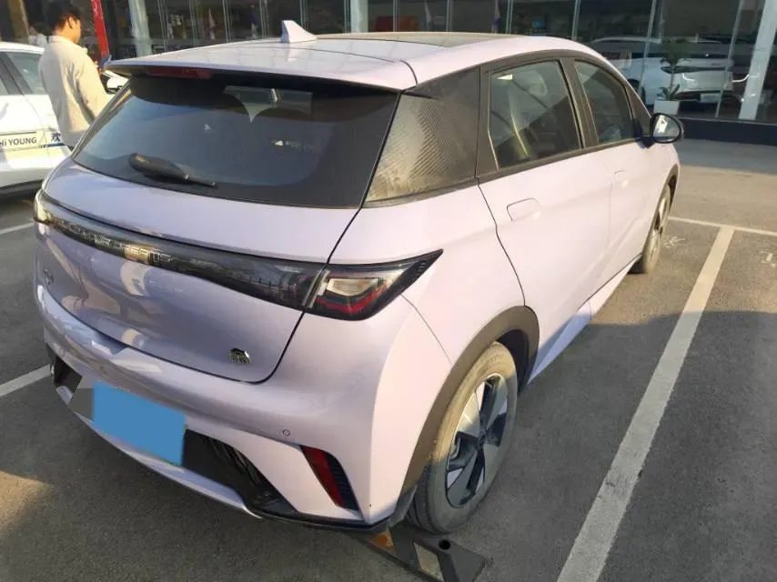 2023 BYD Dolphin BEV 44.928KWH,autocango,china used car exporter,china ev exporter,chinese used car exporter,chinese used ev exporter