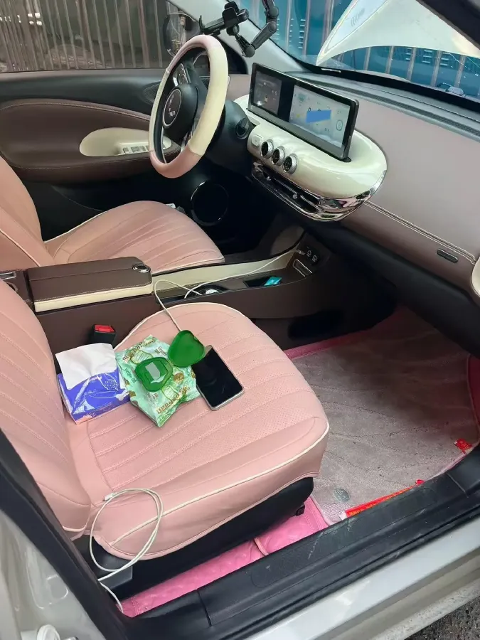 2024 WuLing BinGuo BEV 31.9KWH,autocango,china used car exporter,china ev exporter,chinese used car exporter,chinese used ev exporter