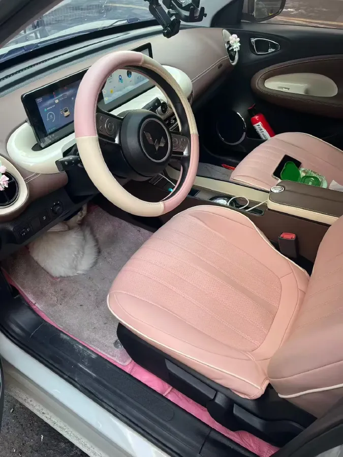 2024 WuLing BinGuo BEV 31.9KWH,autocango,china used car exporter,china ev exporter,chinese used car exporter,chinese used ev exporter