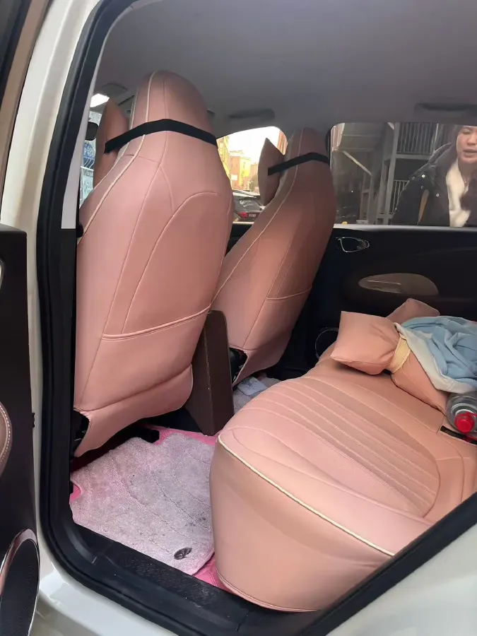 2024 WuLing BinGuo BEV 31.9KWH,autocango,china used car exporter,china ev exporter,chinese used car exporter,chinese used ev exporter