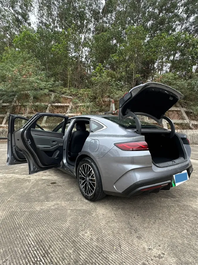 2024 BYD QinL 1.5L 101HP L4 E-CVT PHEV 15.87KWH,autocango,china used car exporter,china ev exporter,chinese used car exporter,chinese used ev exporter