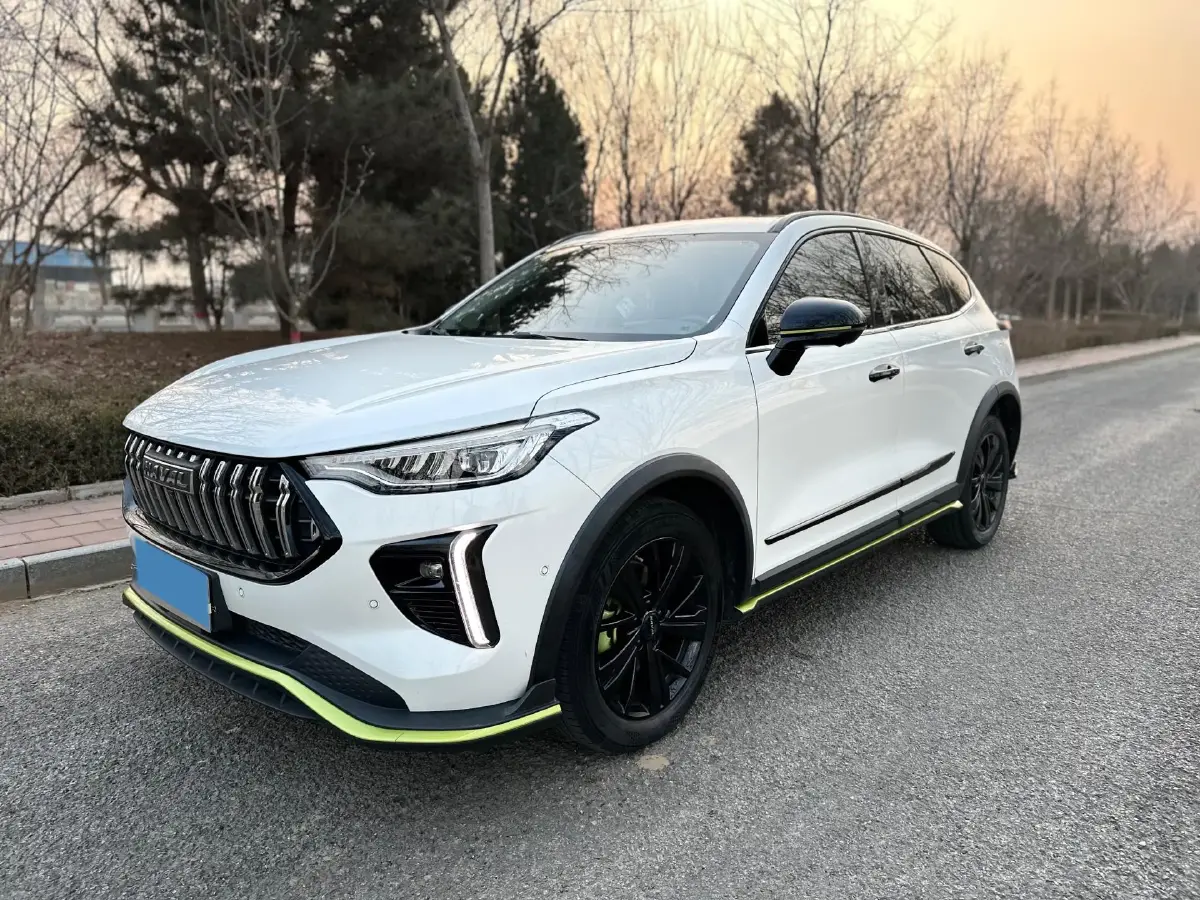 2021 Haval Rabbit 1.5T 184HP L4 7DCT
