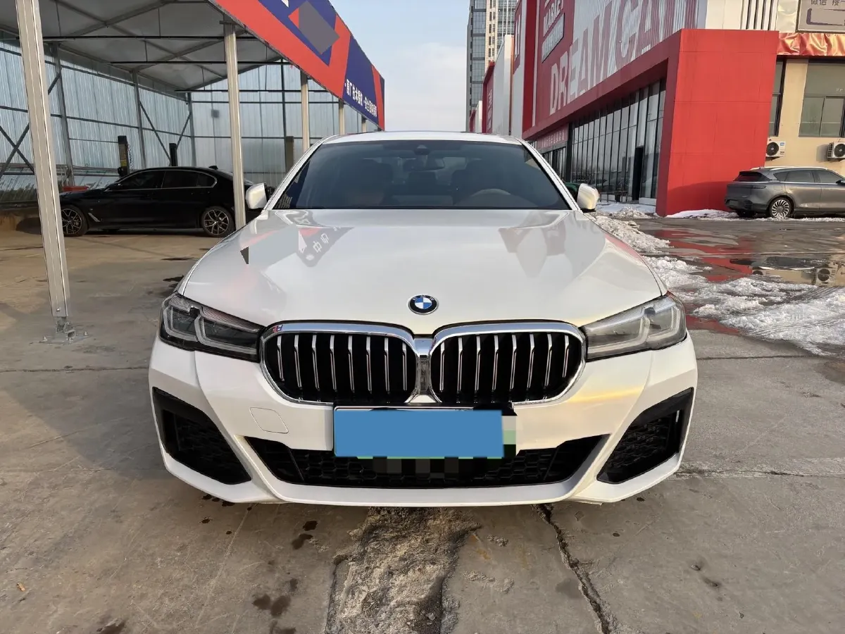 2021 BMW 5 Series 2.0T 184HP L4 8AT PHEV 17.7KWH,autocango,china used car exporter,china ev exporter,chinese used car exporter,chinese used ev exporter