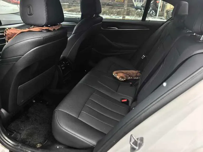 2022 BMW 5 Series 2.0T 184HP L4 8AT,autocango,china used car exporter,china ev exporter,chinese used car exporter,chinese used ev exporter