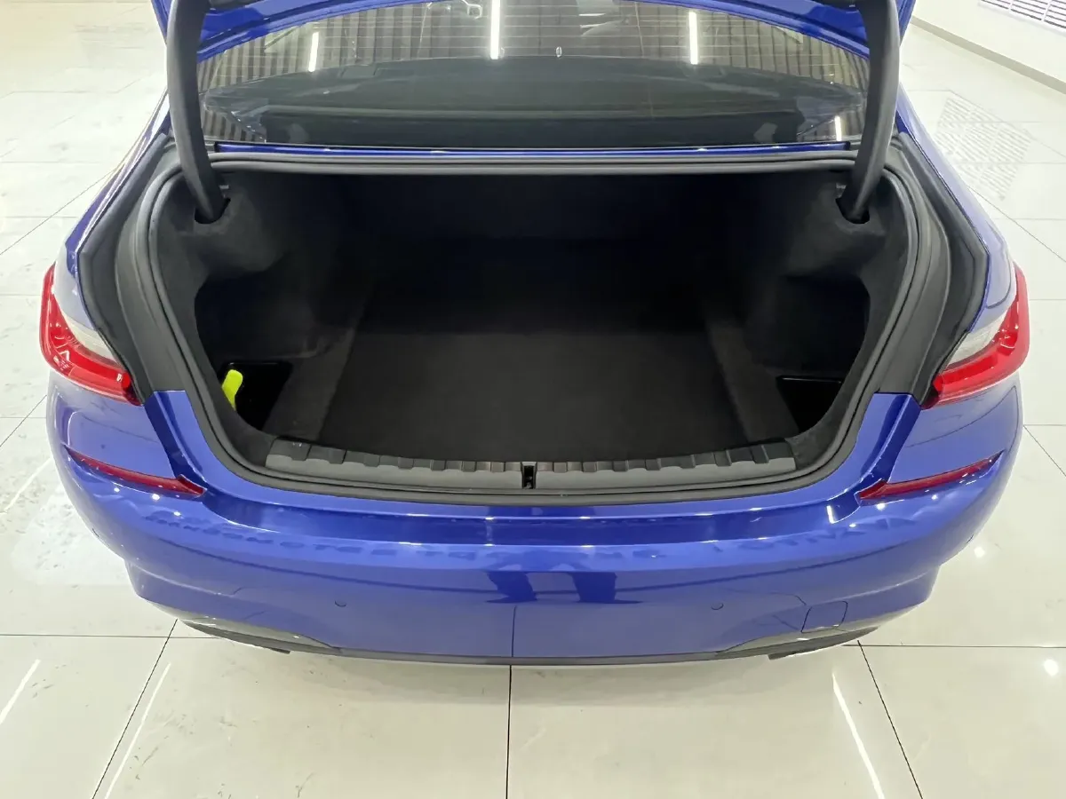 2021 BMW 3 Series 2.0T 156HP L4 8AT,autocango,china used car exporter,china ev exporter,chinese used car exporter,chinese used ev exporter