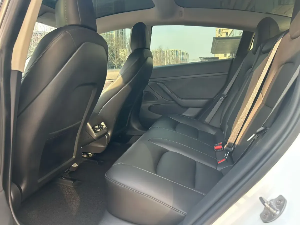 2020 Tesla Model 3 BEV 55KWH,autocango,china used car exporter,china ev exporter,chinese used car exporter,chinese used ev exporter