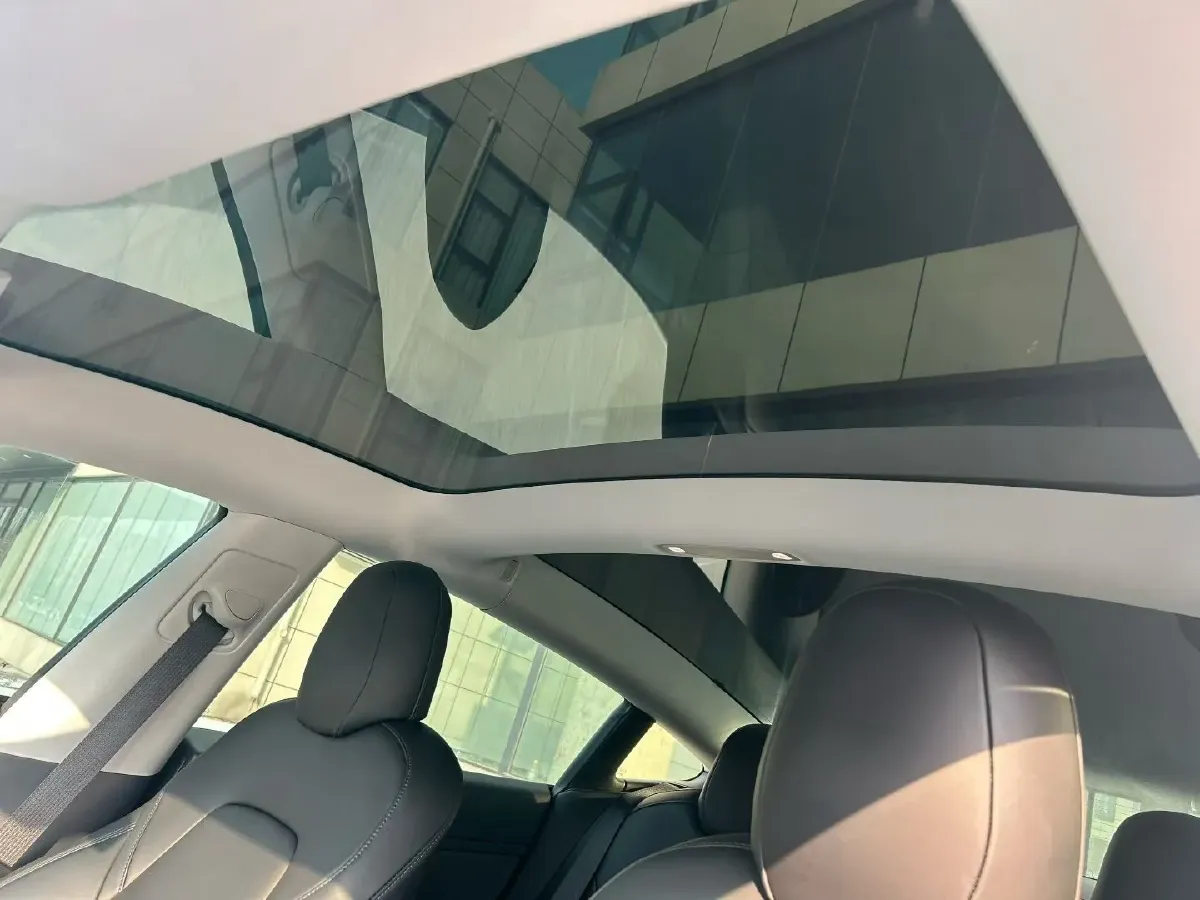 2020 Tesla Model 3 BEV 55KWH,autocango,china used car exporter,china ev exporter,chinese used car exporter,chinese used ev exporter