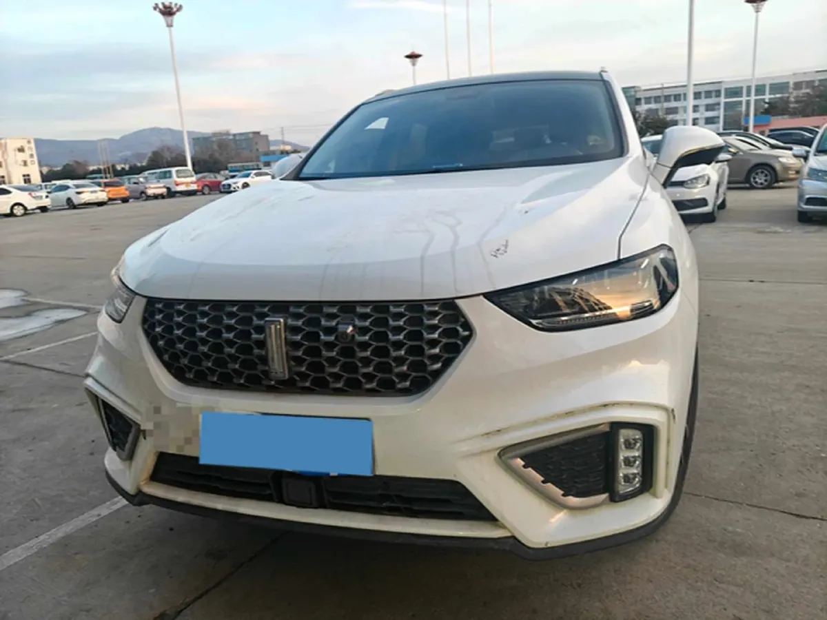 2020 WEY VV5 1.5T 171HP L4 7DCT,autocango,china used car exporter,china ev exporter,chinese used car exporter,chinese used ev exporter