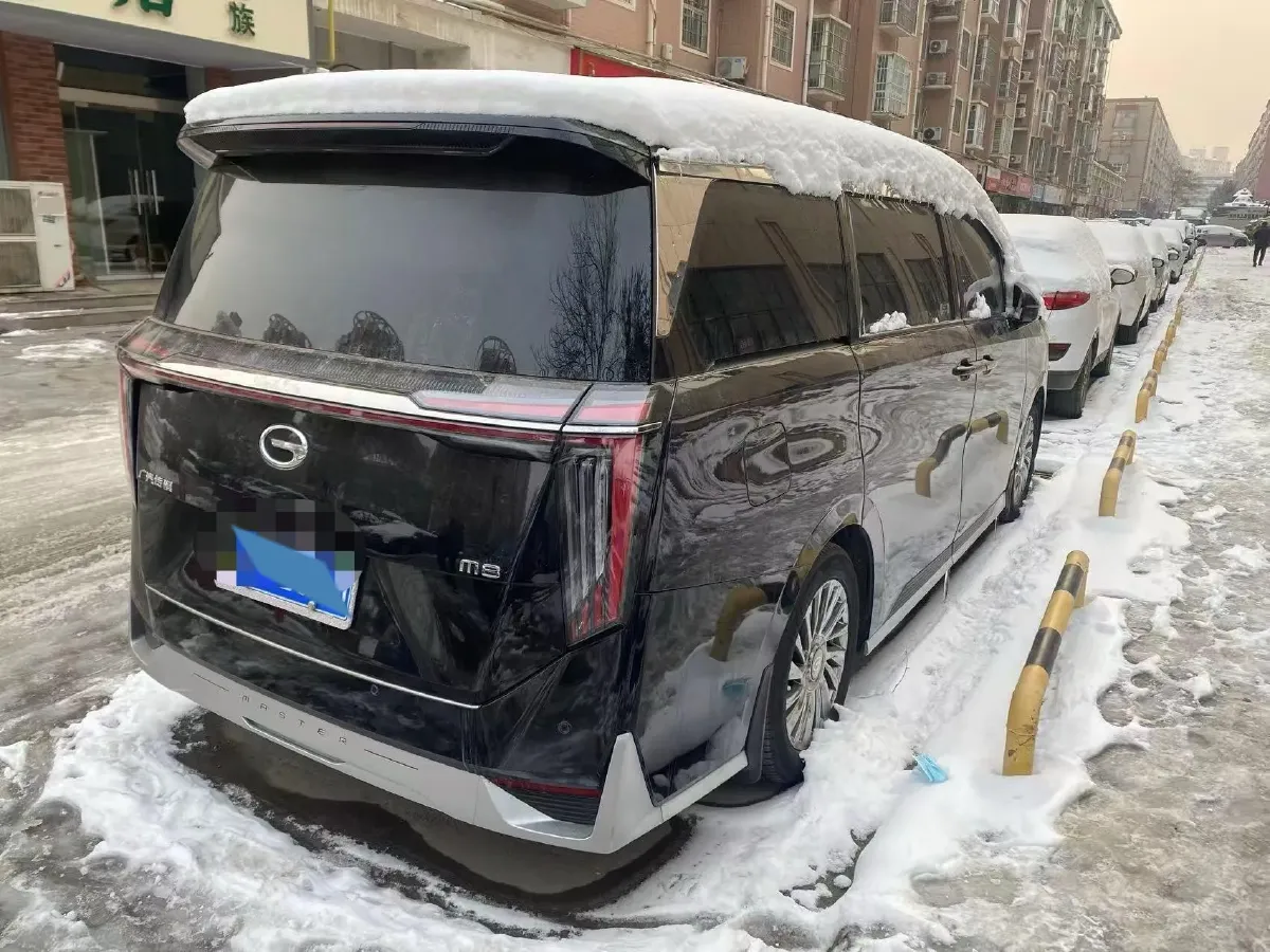 2024 GAC Trumpchi M8 2.0T 252HP L4 8AT,autocango,china used car exporter,china ev exporter,chinese used car exporter,chinese used ev exporter