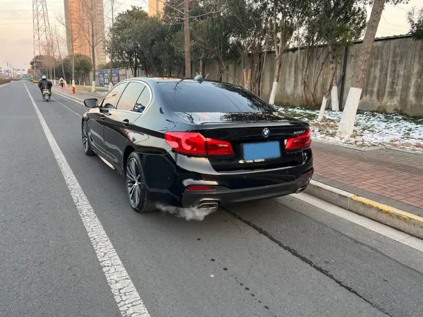 2020 BMW 5 Series 2.0T 252HP L4 8AT,autocango,china used car exporter,china ev exporter,chinese used car exporter,chinese used ev exporter