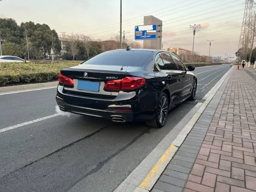 2020 BMW 5 Series 2.0T 252HP L4 8AT,autocango,china used car exporter,china ev exporter,chinese used car exporter,chinese used ev exporter