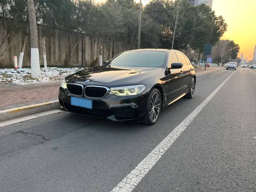 2020 BMW 5 Series 2.0T 252HP L4 8AT