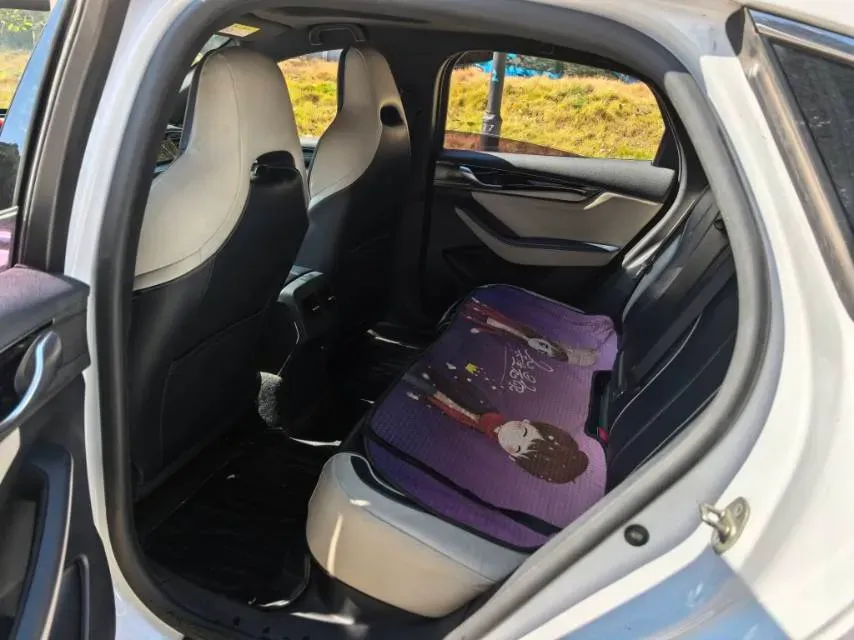 2021 BYD Qin BEV 53.56KWH,autocango,china used car exporter,china ev exporter,chinese used car exporter,chinese used ev exporter