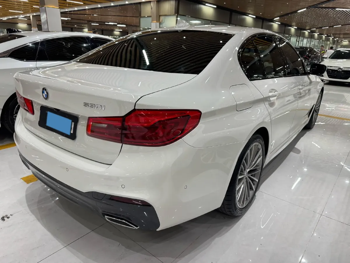 2020 BMW 5 Series 2.0T 252HP L4 8AT,autocango,china used car exporter,china ev exporter,chinese used car exporter,chinese used ev exporter