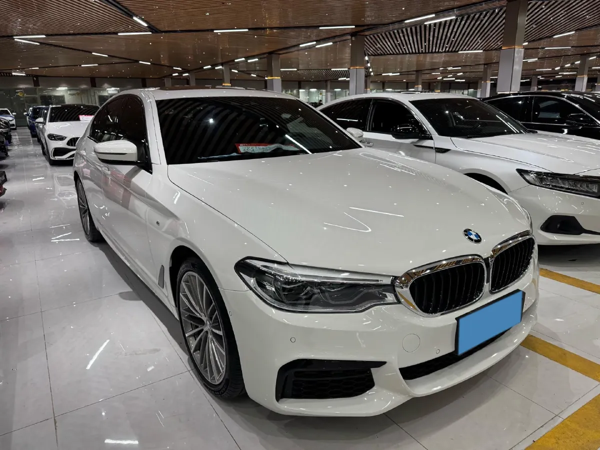 2020 BMW 5 Series 2.0T 252HP L4 8AT,autocango,china used car exporter,china ev exporter,chinese used car exporter,chinese used ev exporter
