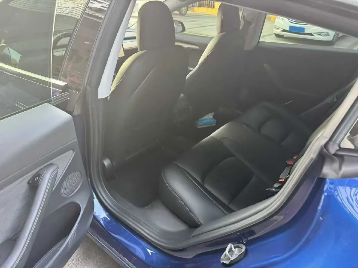 2021 Tesla Model 3 BEV 55KWH,autocango,china used car exporter,china ev exporter,chinese used car exporter,chinese used ev exporter