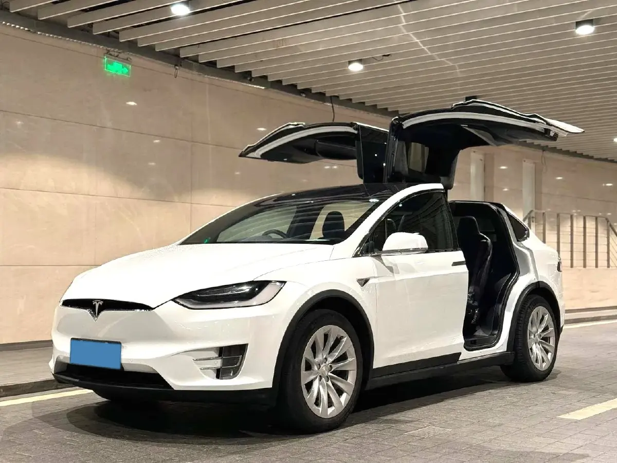 2019 Tesla Model X BEV 100KWH