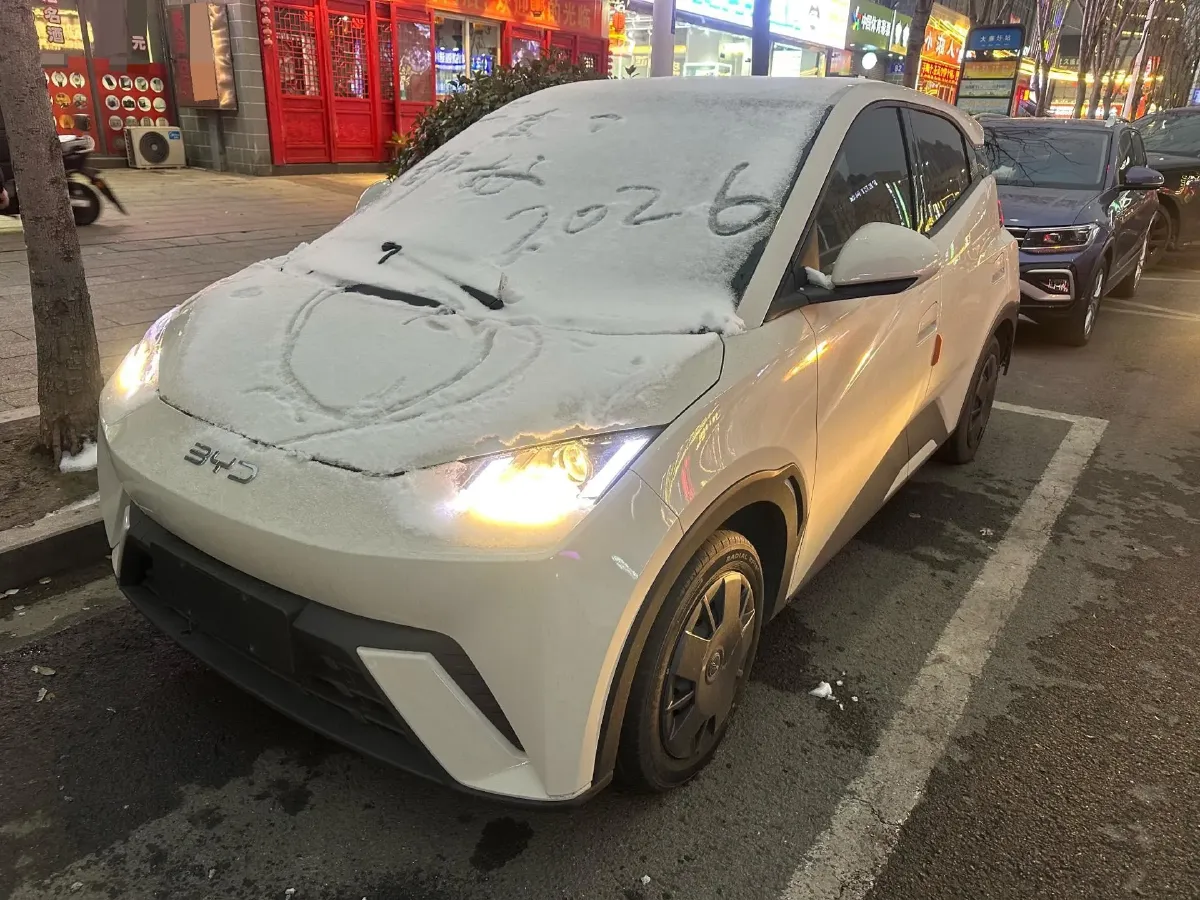 2024 BYD Seagull BEV 30.08KWH,autocango,china used car exporter,china ev exporter,chinese used car exporter,chinese used ev exporter