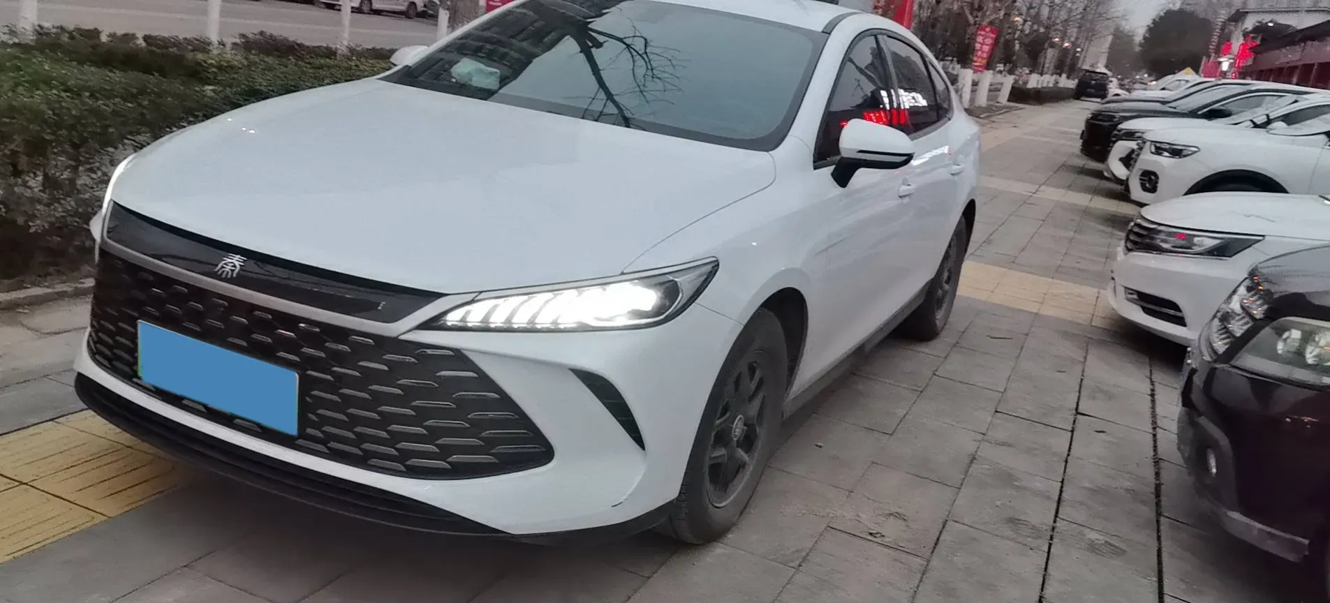 2025 BYD Seal05 DM-i 1.5L 101HP L4 E-CVT PHEV 7.68KWH,autocango,china used car exporter,china ev exporter,chinese used car exporter,chinese used ev exporter