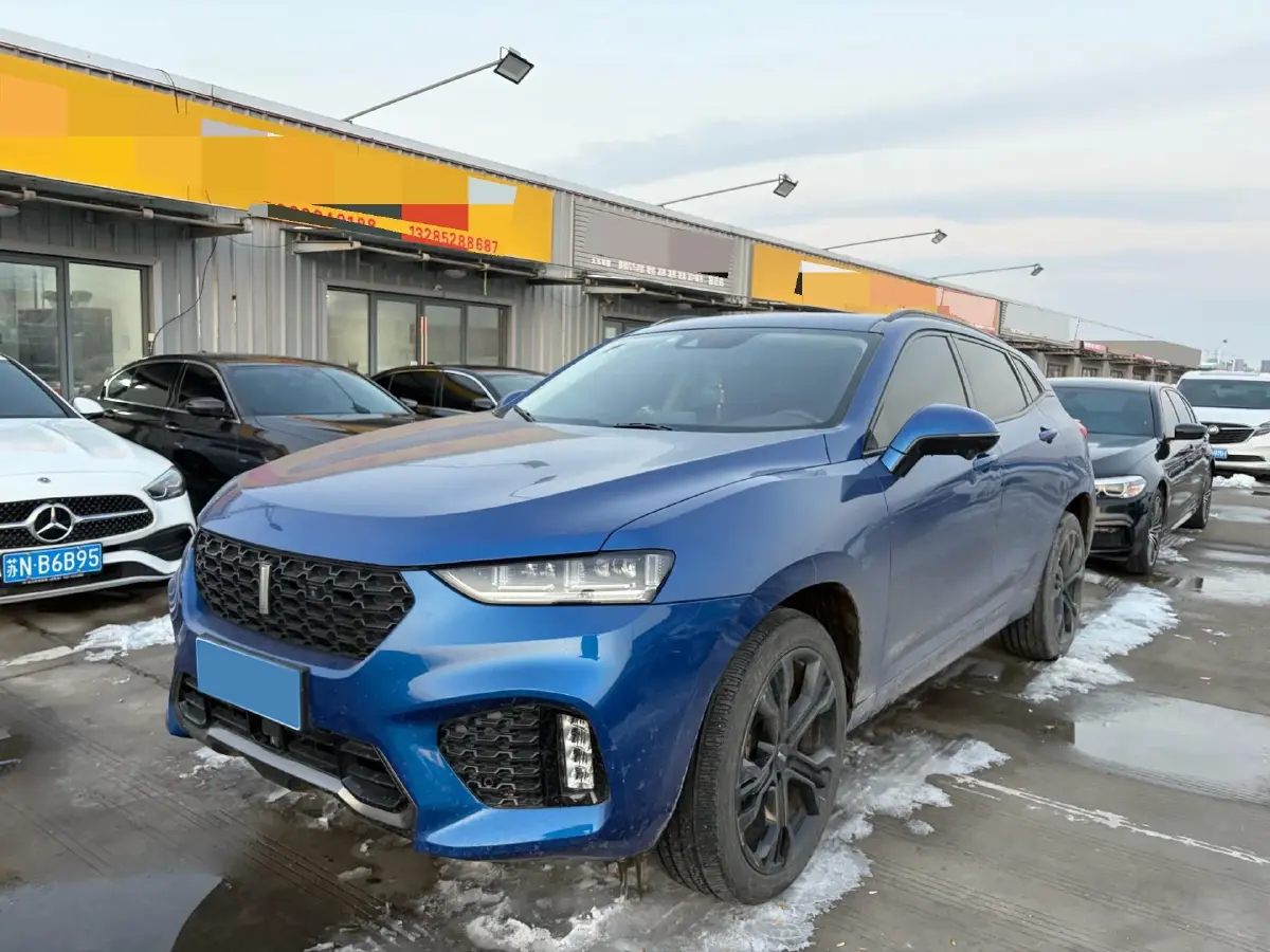 2019 WEY VV7 2.0T 227HP L4 7DCT