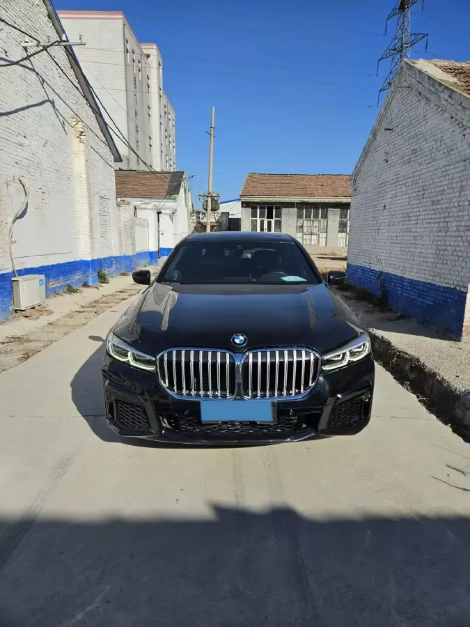 2021 BMW 7 Series 2.0T 265HP L4 8AT,autocango,china used car exporter,china ev exporter,chinese used car exporter,chinese used ev exporter